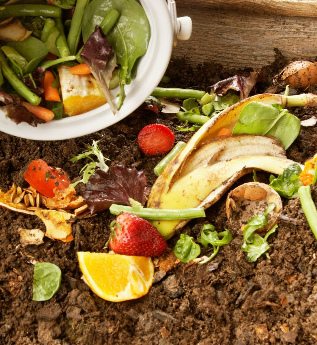 Food Scraps
